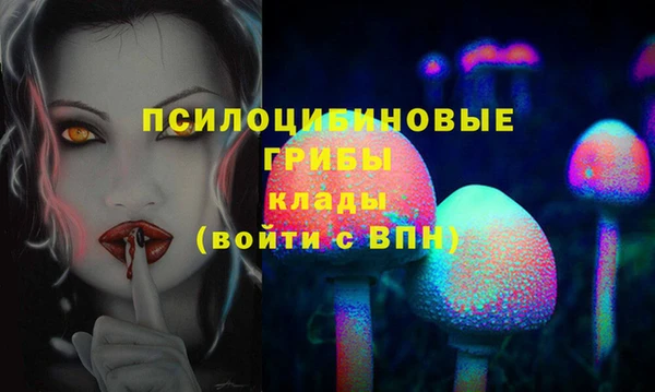 эйфоретик Алзамай