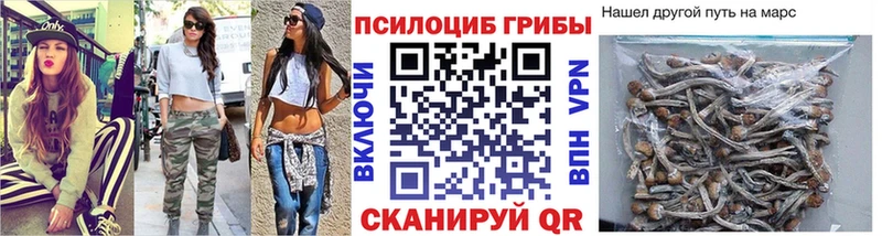 Псилоцибиновые грибы MAGIC MUSHROOMS Губкин